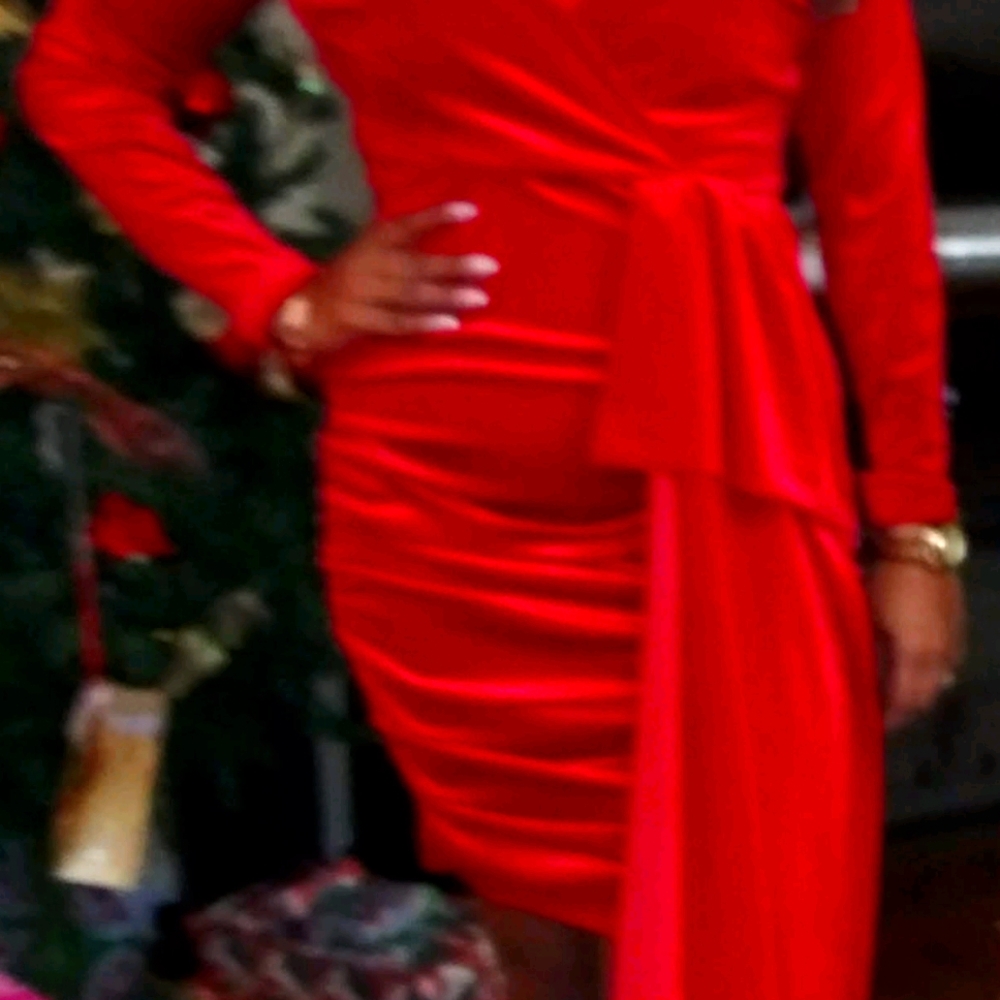 Long sleeve ruch velvet dress